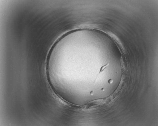 X0000072941288200608041232