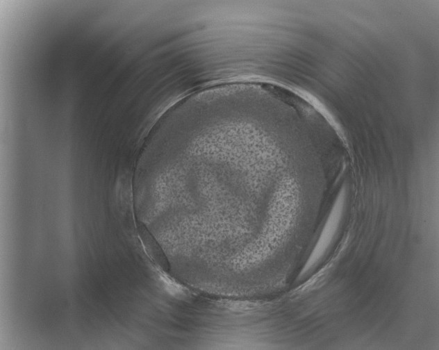 X0000072941289200608041232