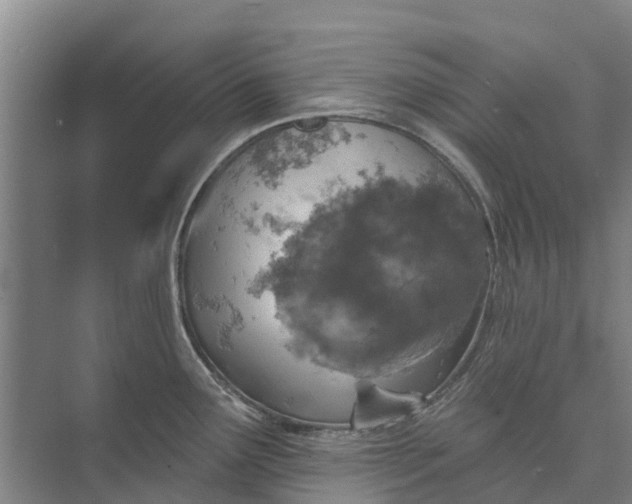 X0000072941291200608041232