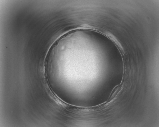 X0000072941292200608041232