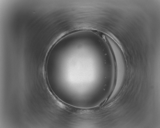 X0000072941293200608041232