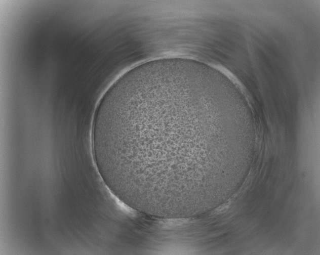 X0000072941294200608041232