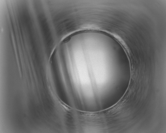 X0000072941295200608041232