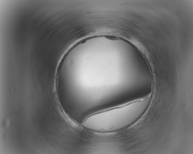 X0000072941296200608041232