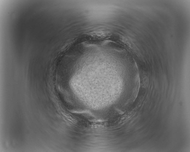 X0000072941297200608041231