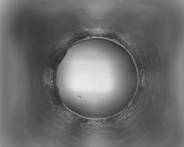 X0000072941301200608041231