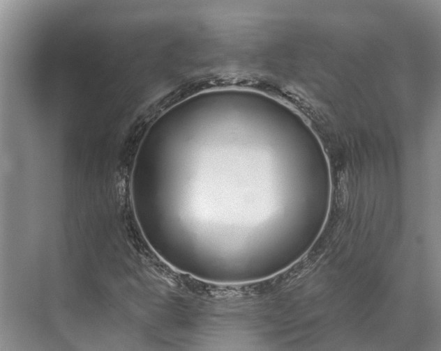 X0000072941302200608041231