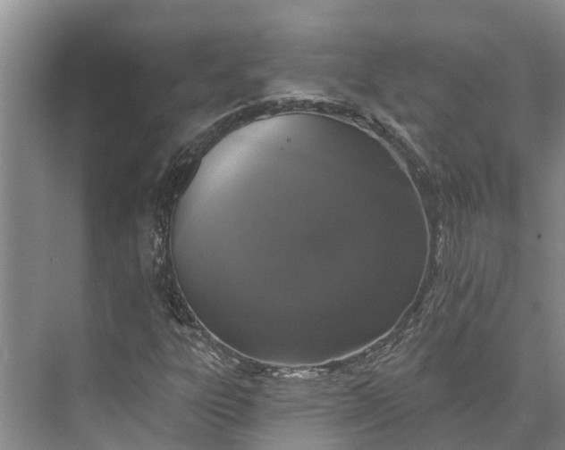 X0000072941303200608041231