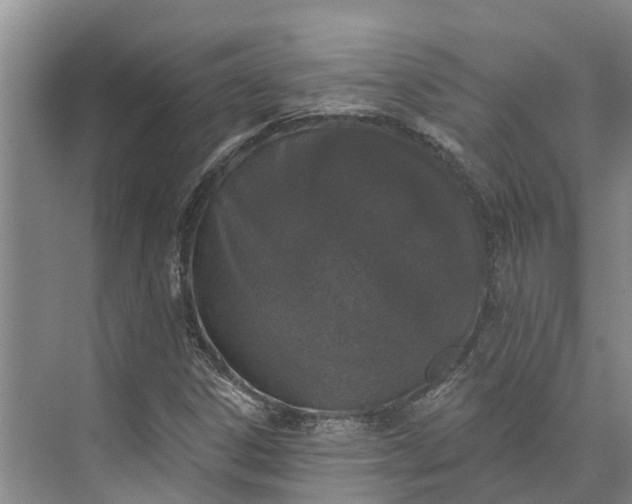 X0000072941306200608041231