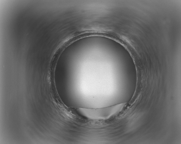 X0000072941307200608041231