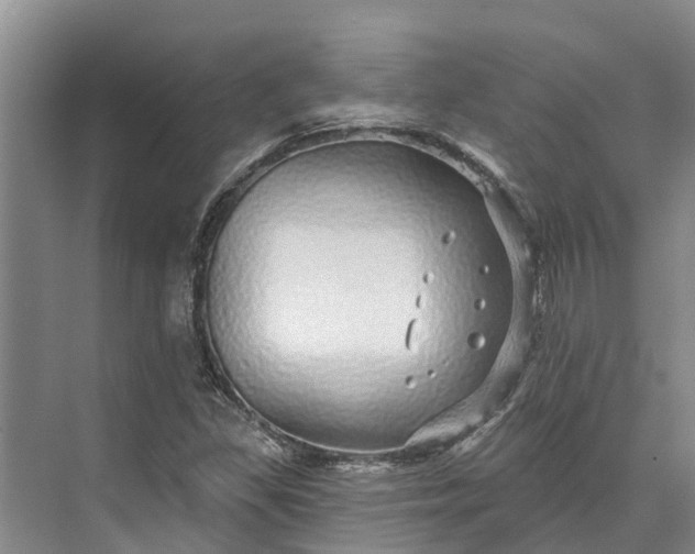 X0000072941309200608041231