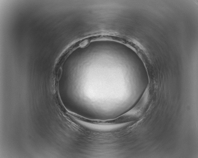 X0000072941310200608041231