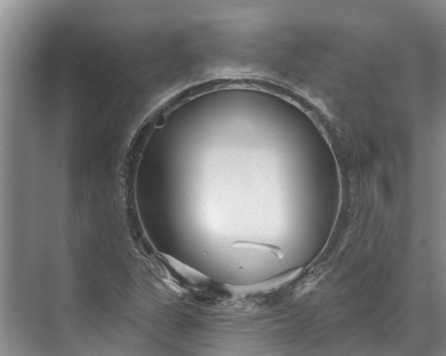 X0000072941311200608041231