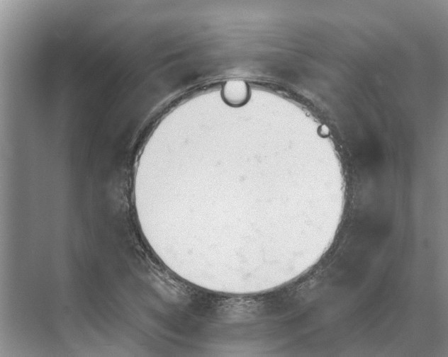 X0000072941314200608041231