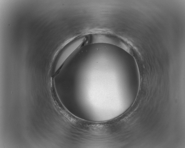 X0000072941317200608041232