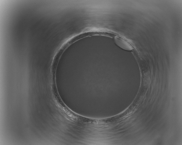 X0000072941319200608041232