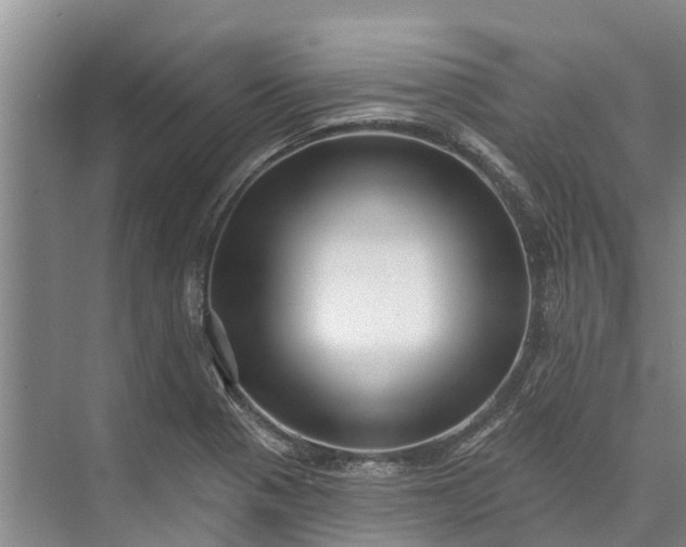 X0000072941321200608041232