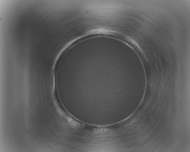 X0000072941323200608041232