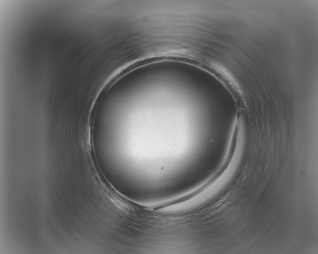 X0000072941324200608041232