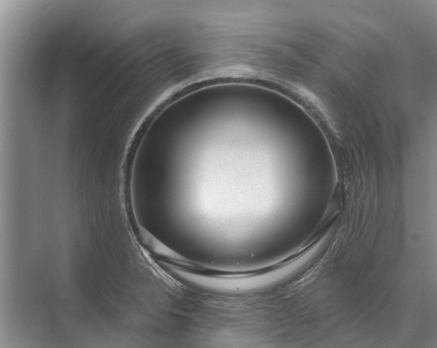 X0000072941326200608041232