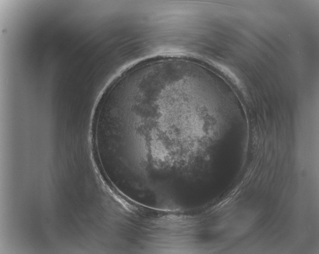 X0000072941327200608041232