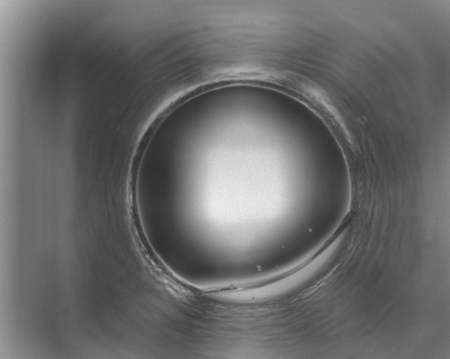 X0000072941328200608041232