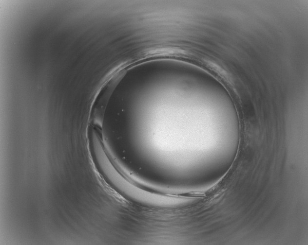 X0000072941330200608041232