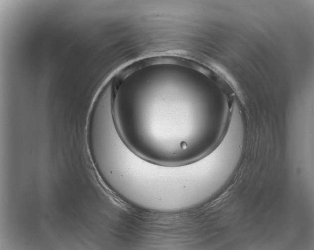 X0000072941332200608041232