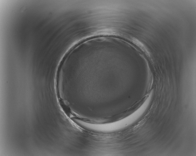 X0000072941334200608041232