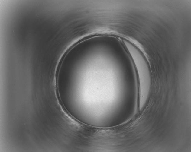 X0000072941335200608041232