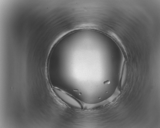 X0000072941336200608041232