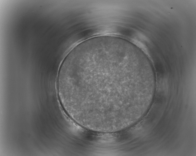 X0000072941338200608041232