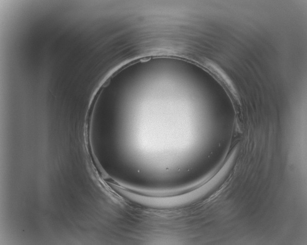 X0000072941340200608041232