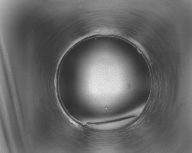 X0000072941343200608041232