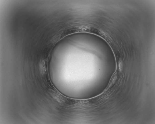 X0000072941347200608041231