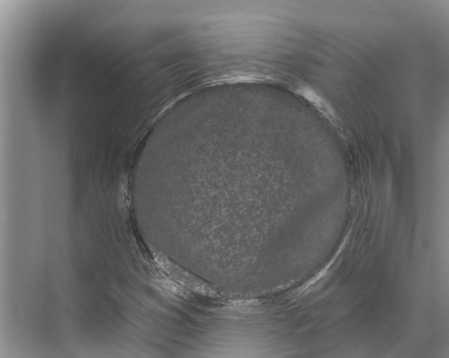 X0000072941353200608041231