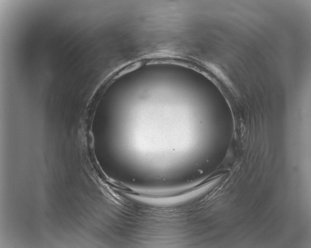 X0000072941356200608041231