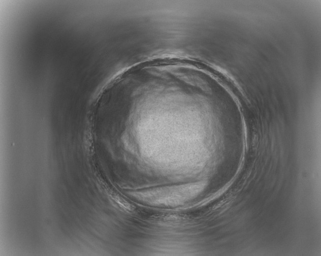 X0000072941359200608041231