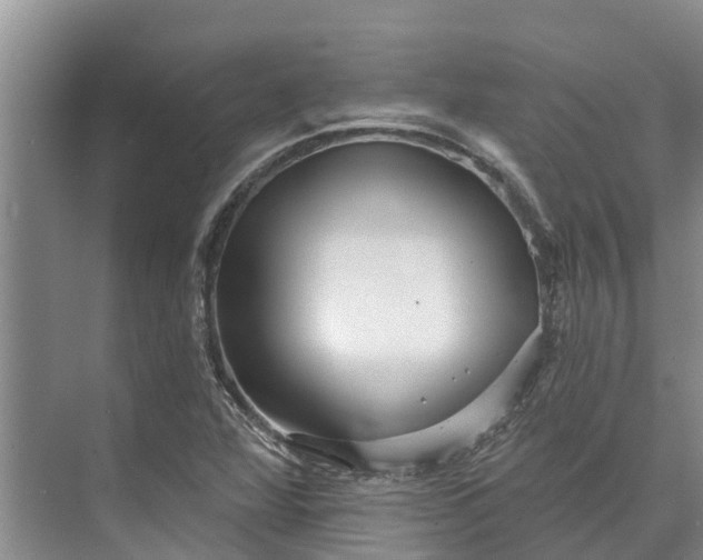 X0000072941360200608041231