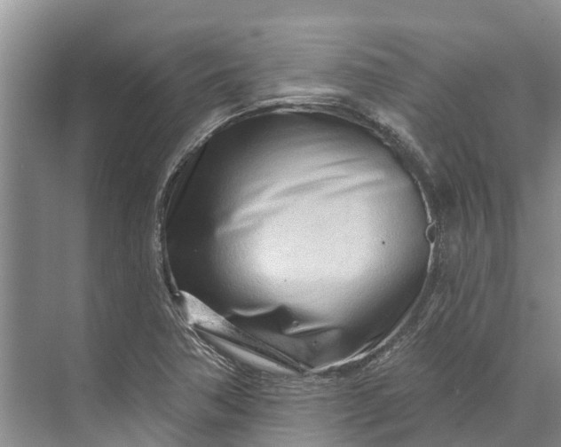 X0000072941362200608041231