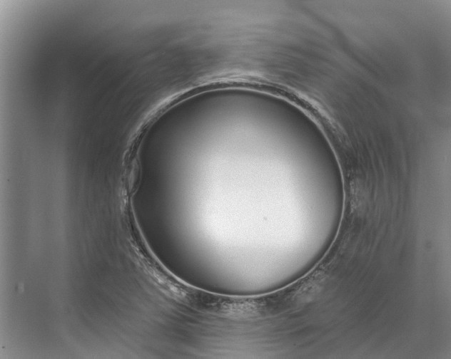 X0000072941363200608041231