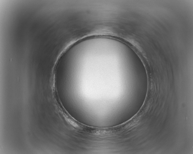 X0000072941366200608041231