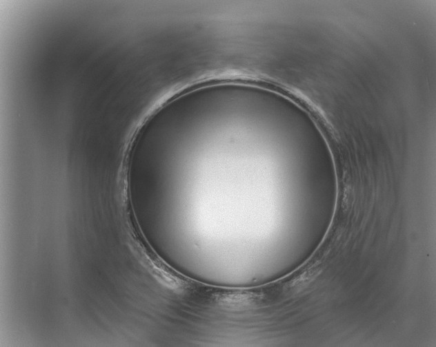 X0000072941367200608041231