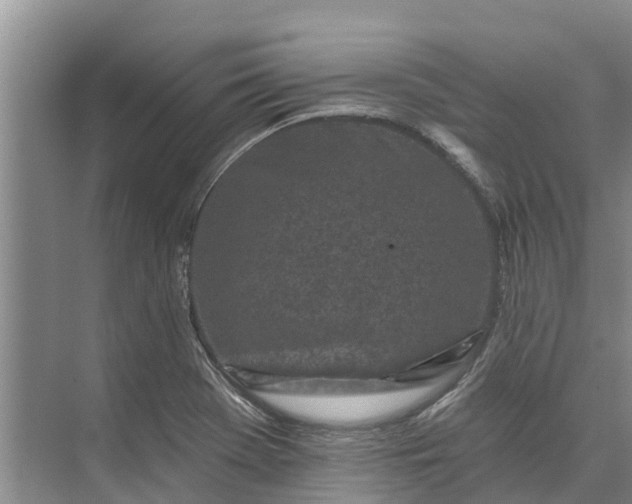 X0000072941369200608041231