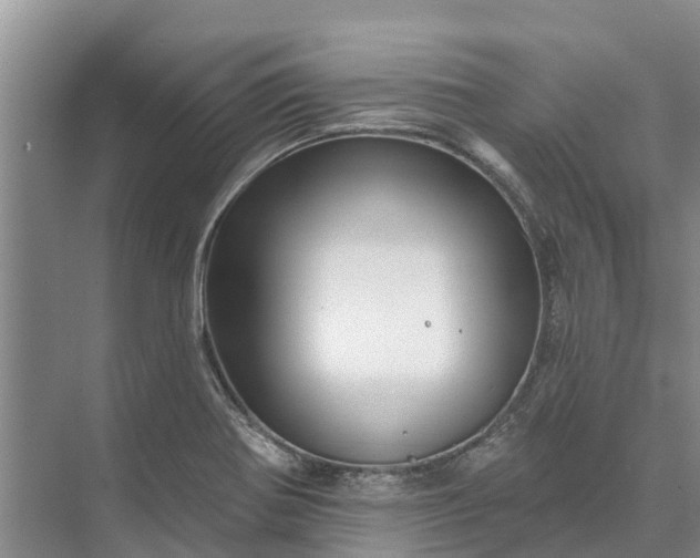 X0000072941370200608041231