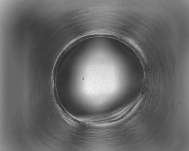 X0000072941372200608041231