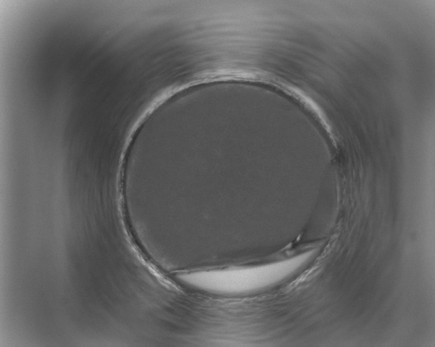 X0000072941373200608041231