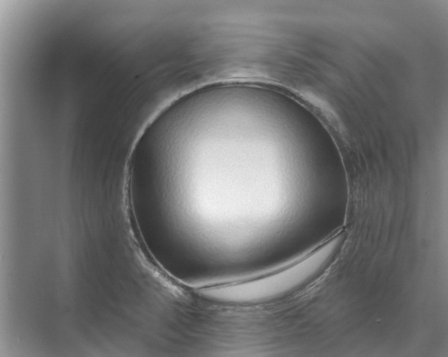 X0000072941374200608041231