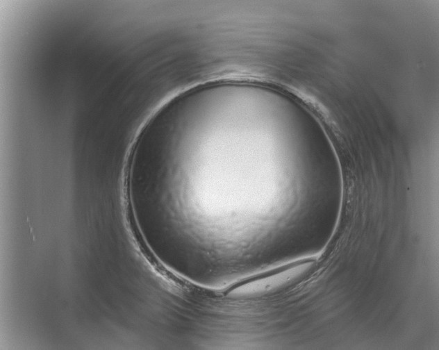 X0000072941375200608041231