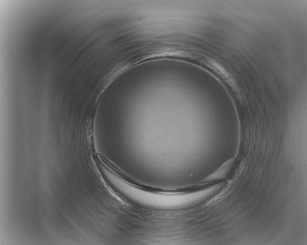 X0000072941377200608041231